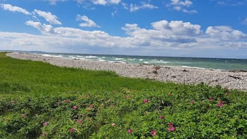 A beach with a rocky shoreline and green vegetation in the foreground.