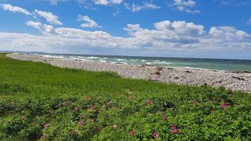 Eine Küstenlandschaft mit kiesigem Strand, grünen Flächen und rosa Blumen.
