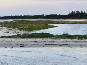 A natural landscape with a body of water, grassy areas, and a forest in the background. - Holiday Home in Hadsund (Hadsund)