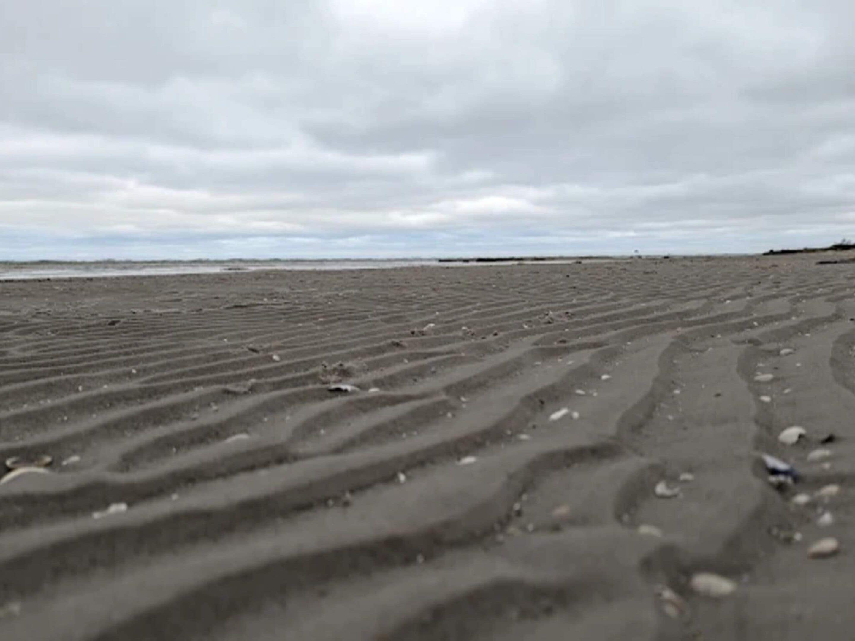 Une plage de sable où l’on voit des traces de pneus et des galets éparpillés.
