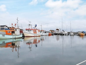 Boats docked in a serene marina, surrounded by calm waters.
