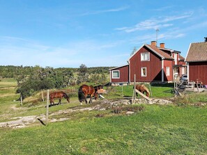 Eksteriør