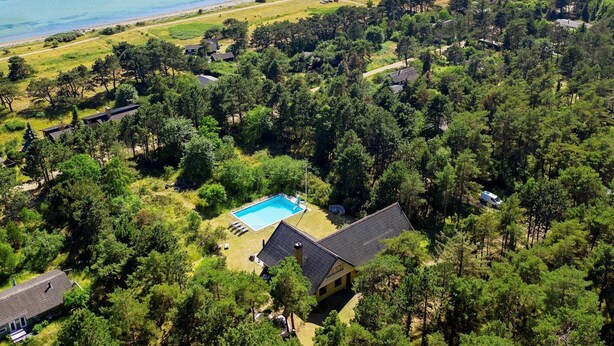 Vista aérea de um bairro residencial com piscina, casas e praia.