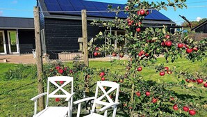 Exterior - Holiday Home in Haarby (Haarby)