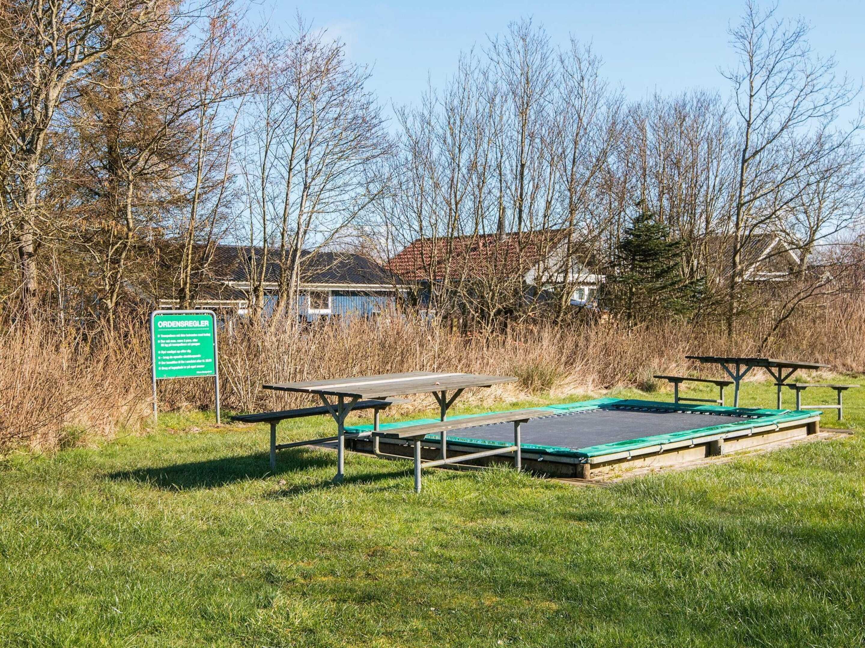 House | Outdoor dining