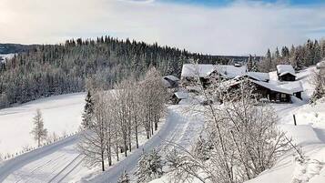 Esportes de neve e esqui