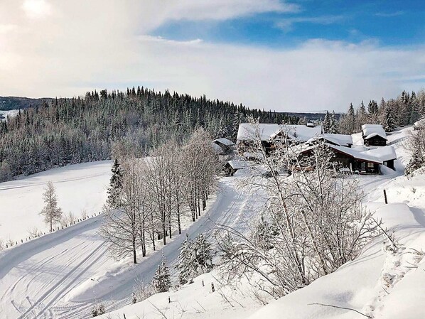 Deportes de invierno y ski