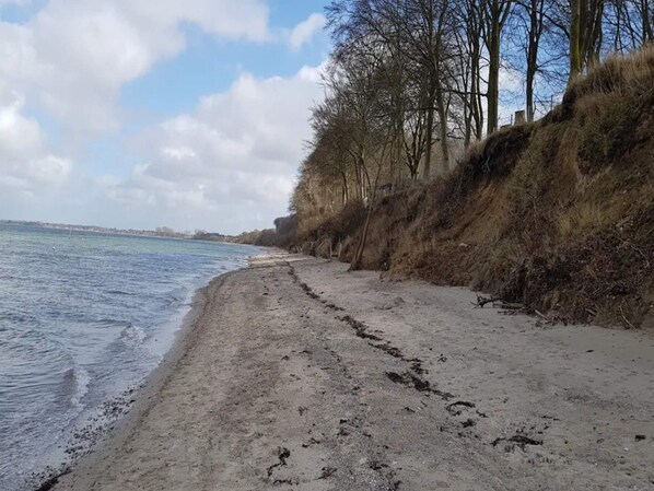 A sandy beach with a gentle slope leading to the water, surrounded by leafless trees and a clear sky.