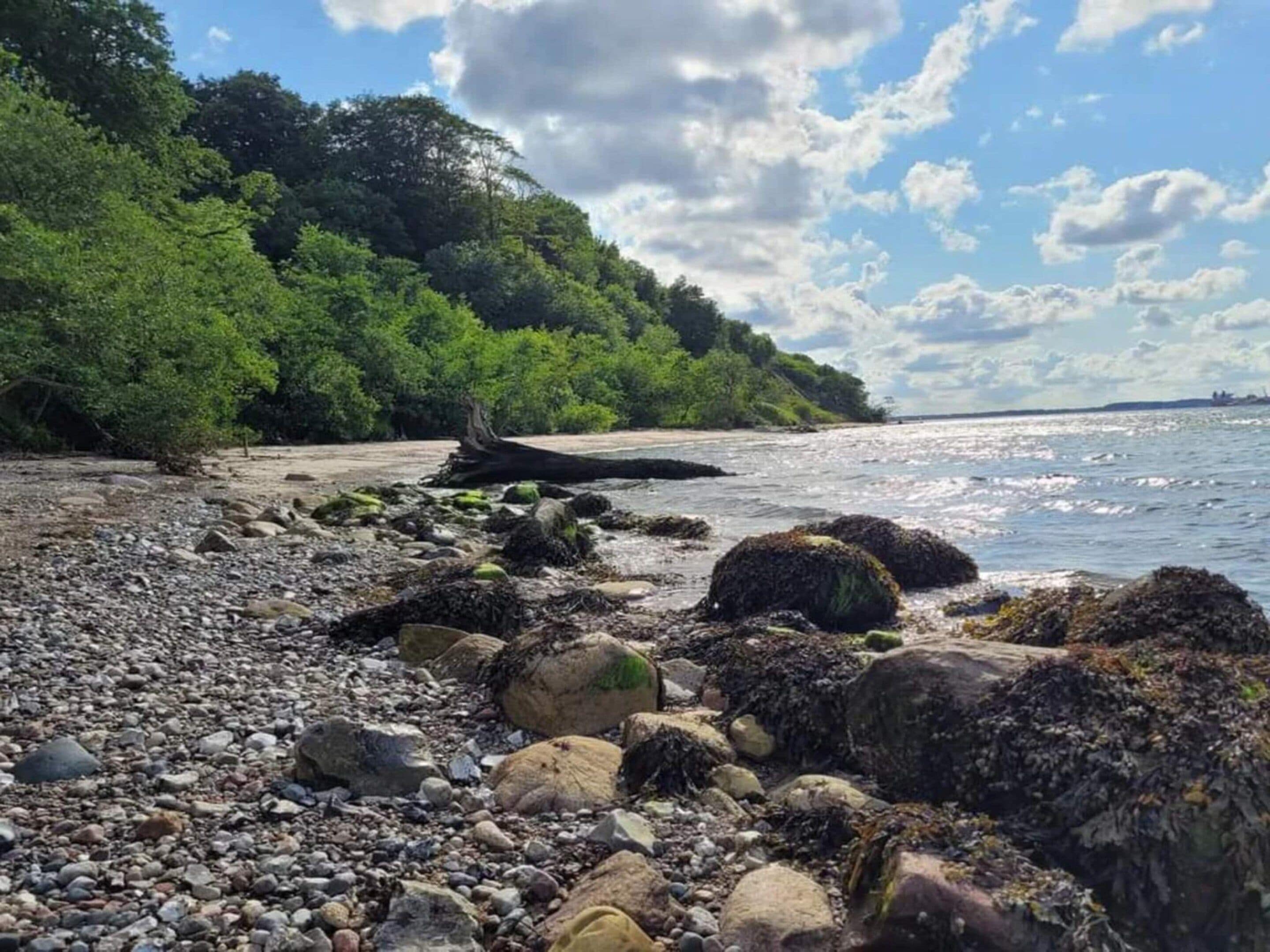 Uma praia rochosa com um morro arborizado ao fundo.
