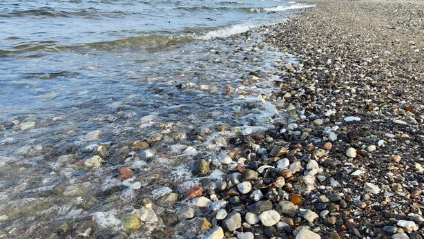 A pebbled beach with clear water and distant trees. - 5 Person Holiday Home in Middelfart (Middelfart)