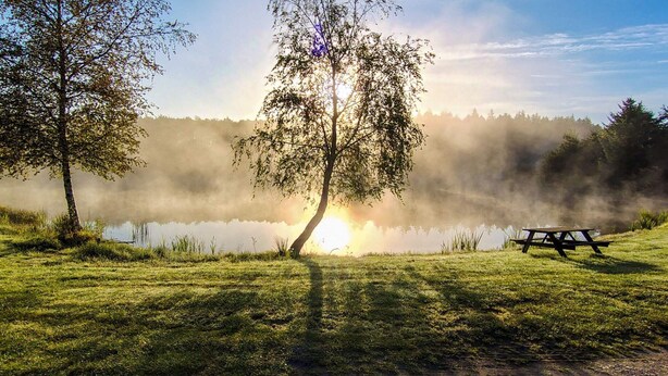 A serene lakeside scene with a picnic table and a bench, surrounded by lush greenery and trees.