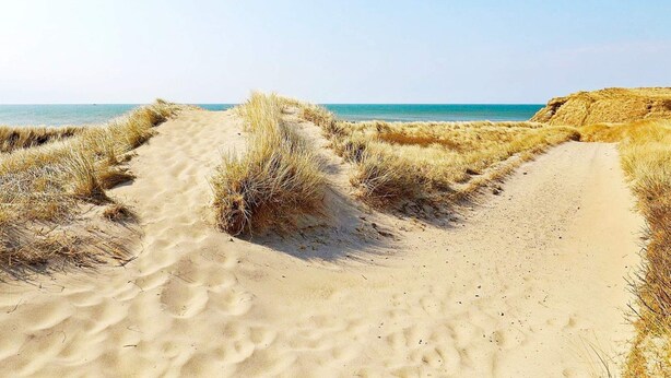 En sandig strandpromenad med sanddyner och fri utsikt över havet.