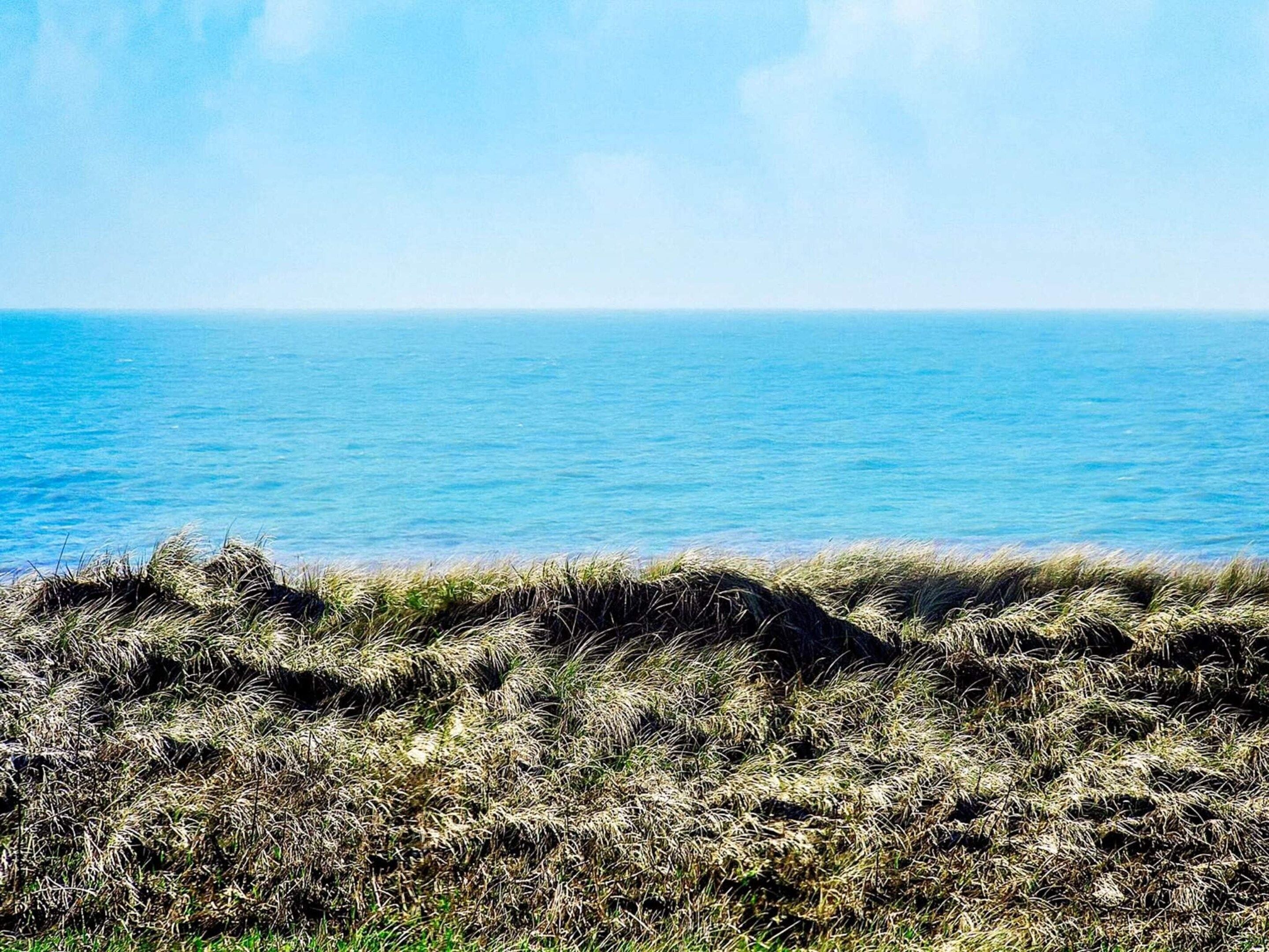 A coastal landscape with a clear view of the sea and grassy dunes in the foreground.