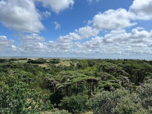 House | Miscellaneous