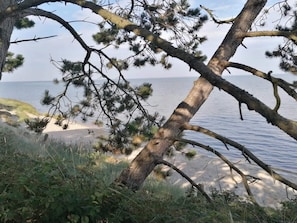 A coastal landscape with a fallen tree, sandy beach, and a view of the sea. - 4 Star Holiday Home in Romo (Rømø)