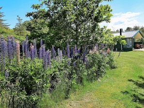 House | View from property