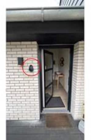 單棟房屋 | 外部細節