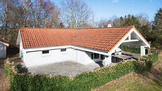 Unclassified image, 1 of 50, button - 5 Star Holiday Home in Glesborg (Glesborg)