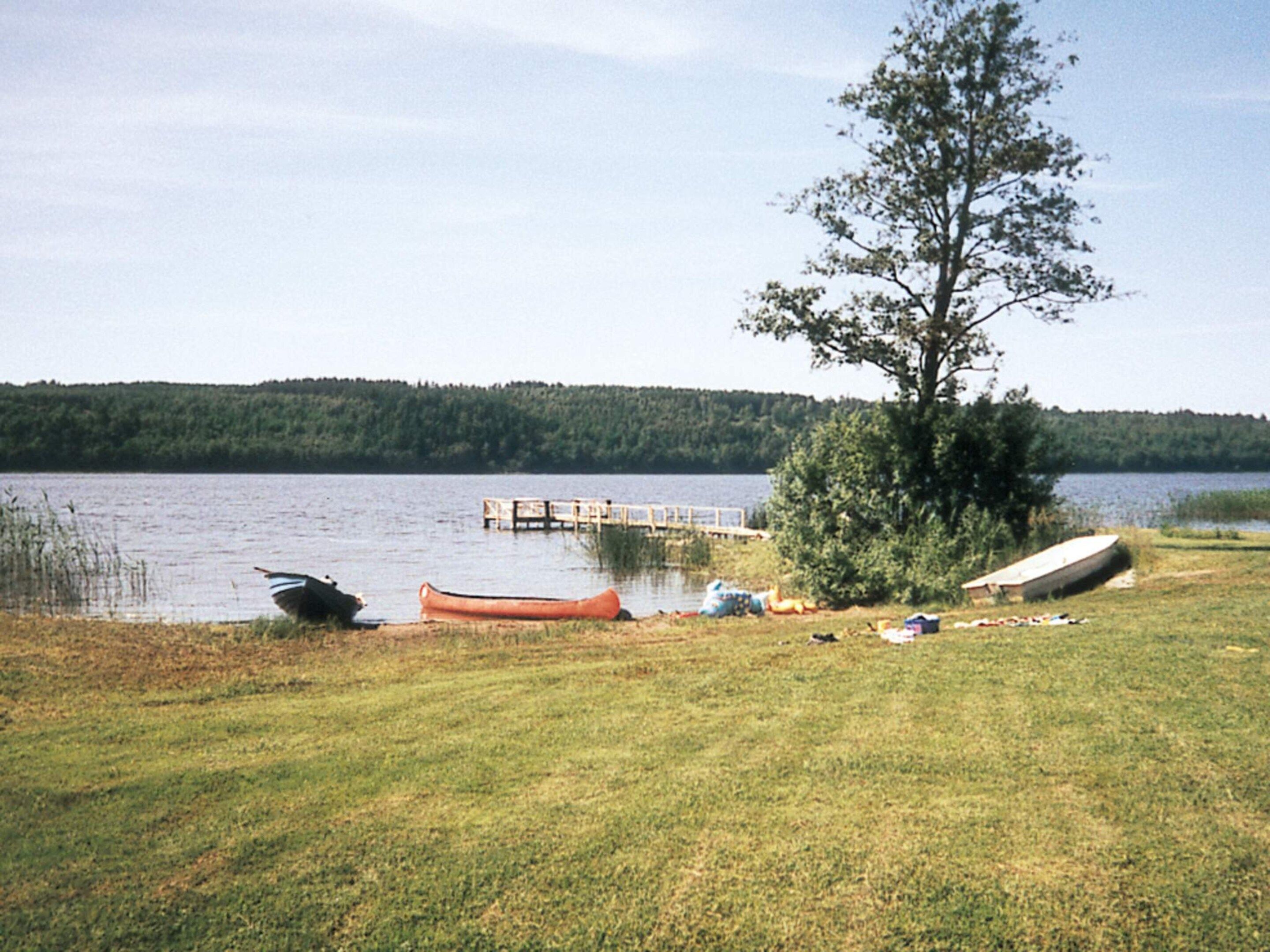 A lakeside setting with boats, a dock, and a grassy area.