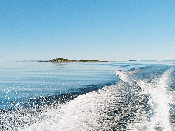 Une mer calme, striée par le sillage d’un bateau en mouvement, une île verdoyante à l’horizon et un ciel bleu dégagé.