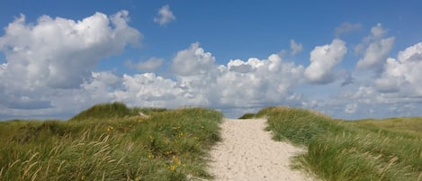 House | Beach