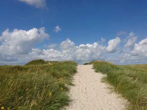 A sandy path flanked by grass and yellow flowers, leading into a cloudy sky.