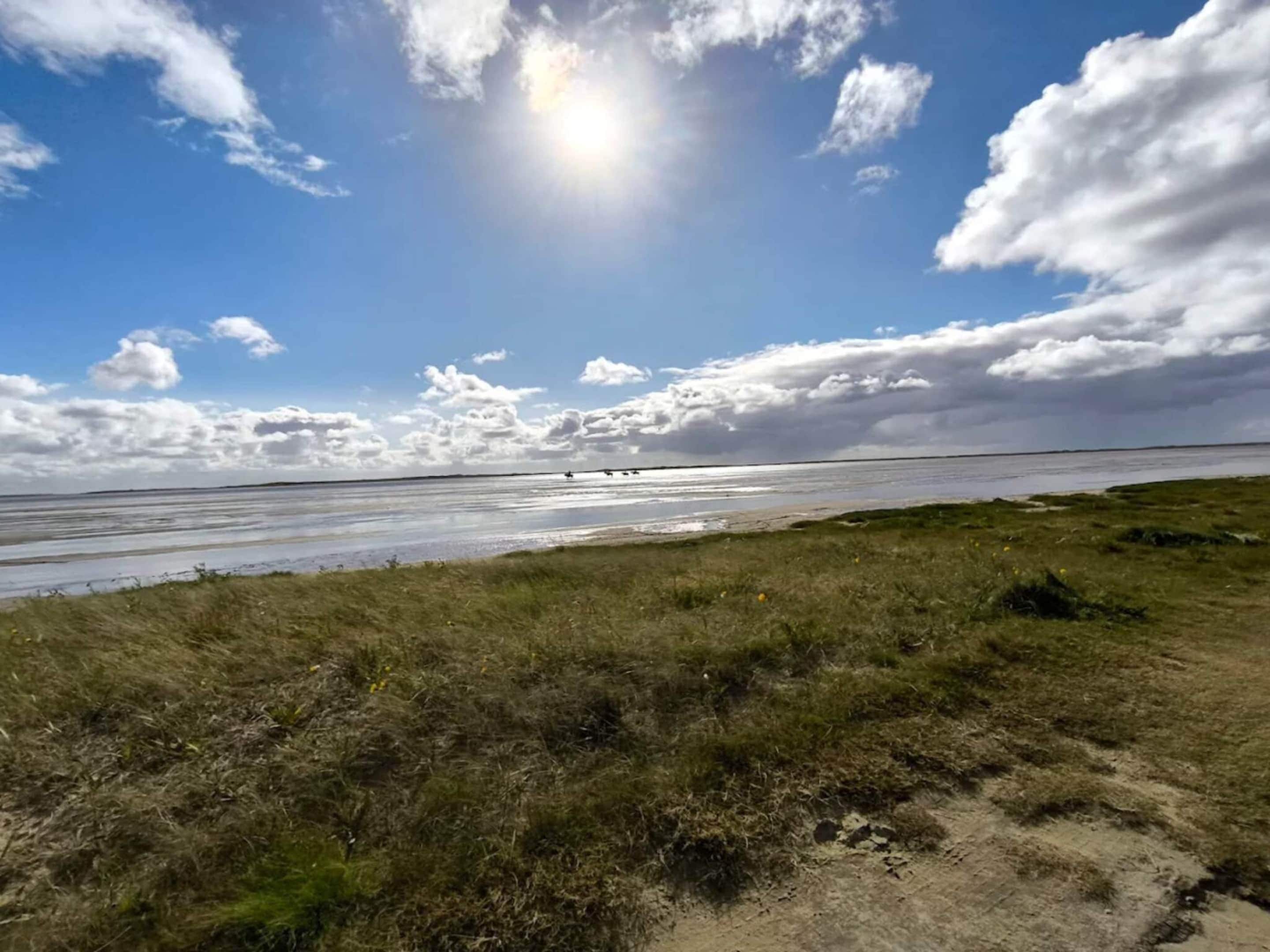 Ein Strand mit einer grünen Vordergrundwiese und blauem Himmel.