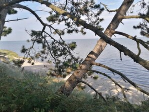 Kystlandskab med et væltet træ, sandstrand og havudsigt.