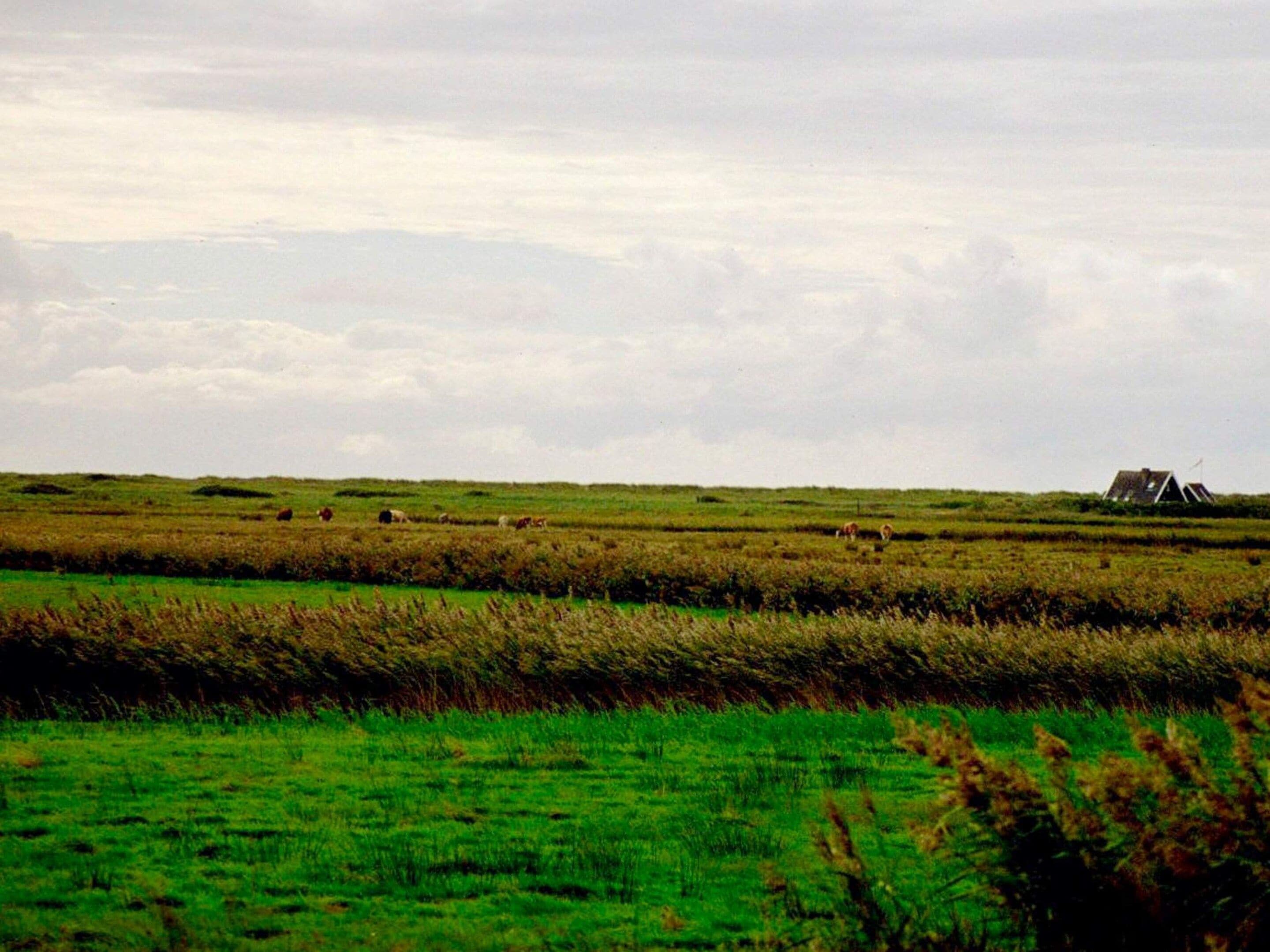 Uitzicht vanuit accommodatie