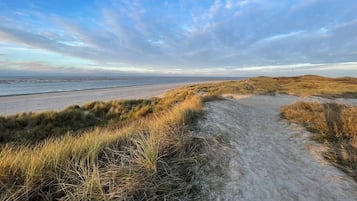 House | Beach