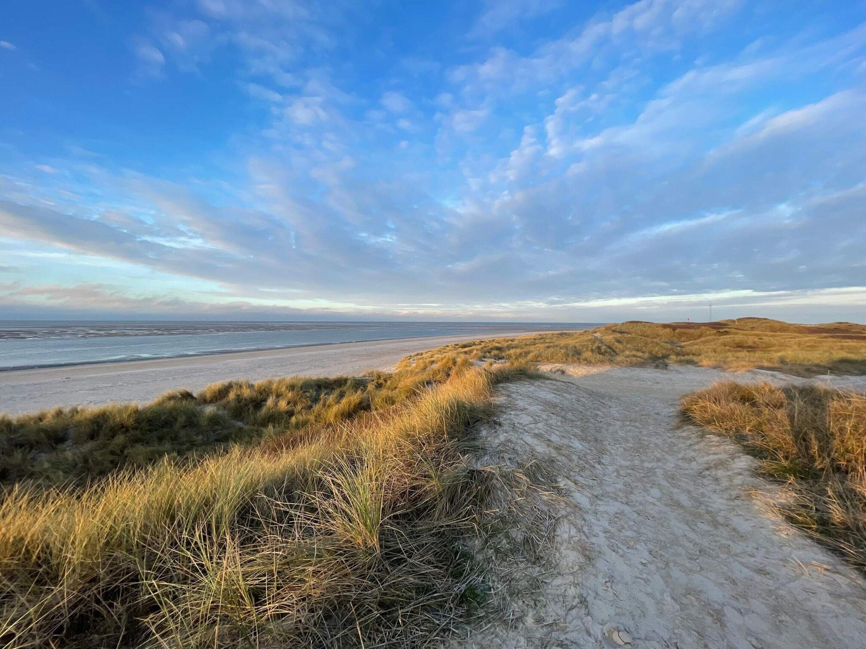 Een zandpad dat naar een strand leidt, met duinen en een heldere lucht.