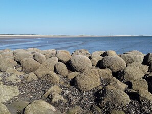 A rocky shoreline with large boulders and pebbles, leading to a calm sea. - 6 Person Holiday Home in Blavand (Blavand)