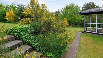 House | View from property