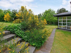 A garden with yellow flowering plants, a stone pathway, and a building with large windows.