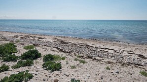 A beach with pebbles and seaweed, a clear sky, and calm water. - Splendid Holiday Home in Jutland With Whirlpool (Sydals)