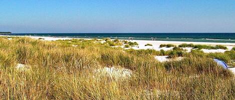 Hus | Strand
