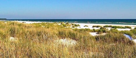 Une plage avec des dunes de sable et de hautes herbes au premier plan.