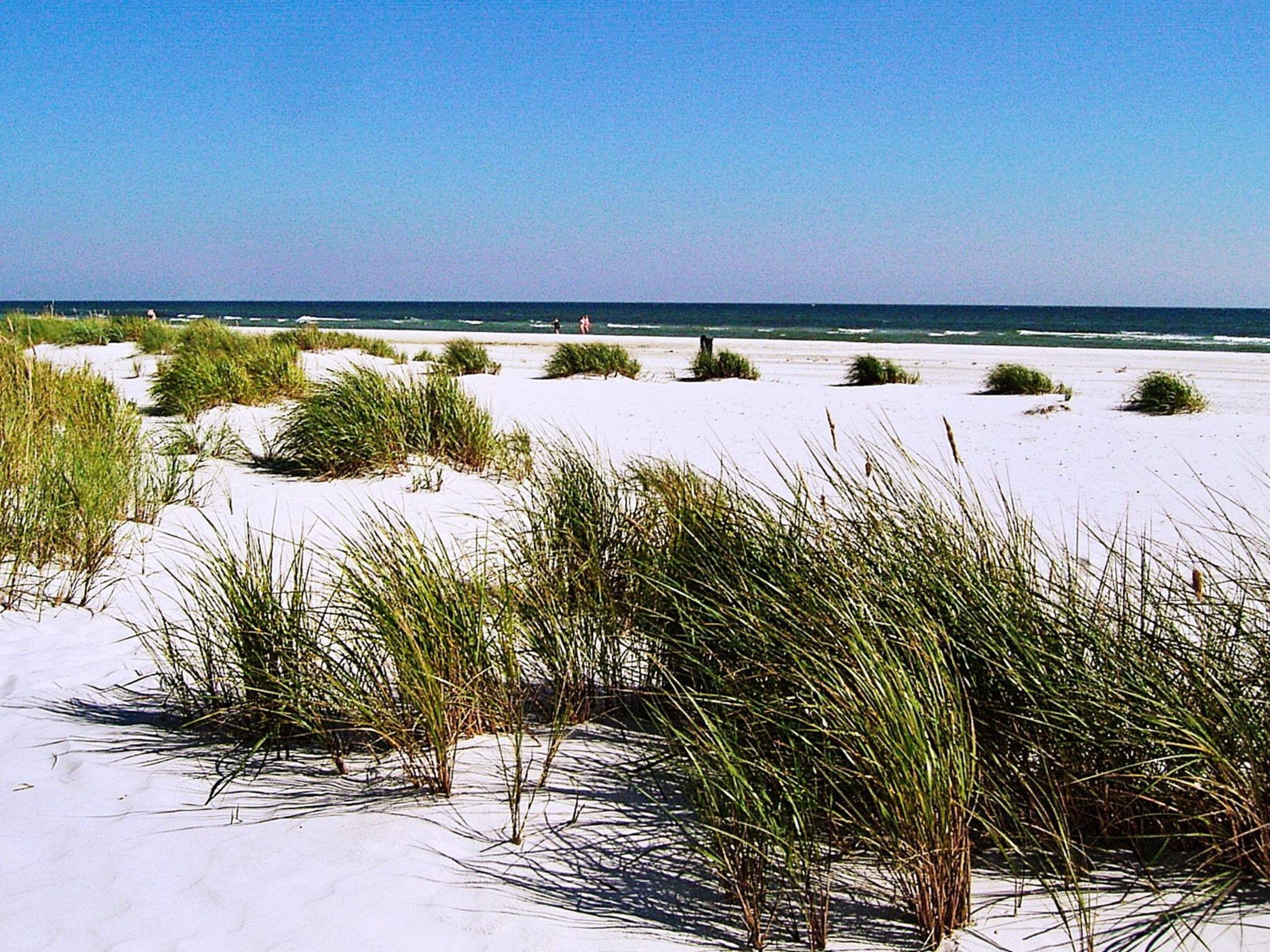 Une plage avec des dunes de sable et une végétation clairsemée.