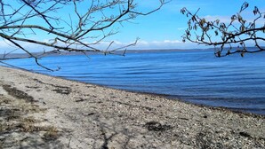 A beach with clear blue water, pebbly shore, and bare tree branches. - 4 Star Holiday Home in Borkop (Borkop)