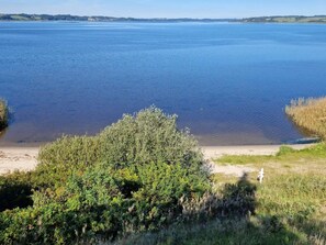 A lake with a sandy beach and dense greenery in the foreground. - 5 Star Holiday Home in Logstrup (Logstrup)