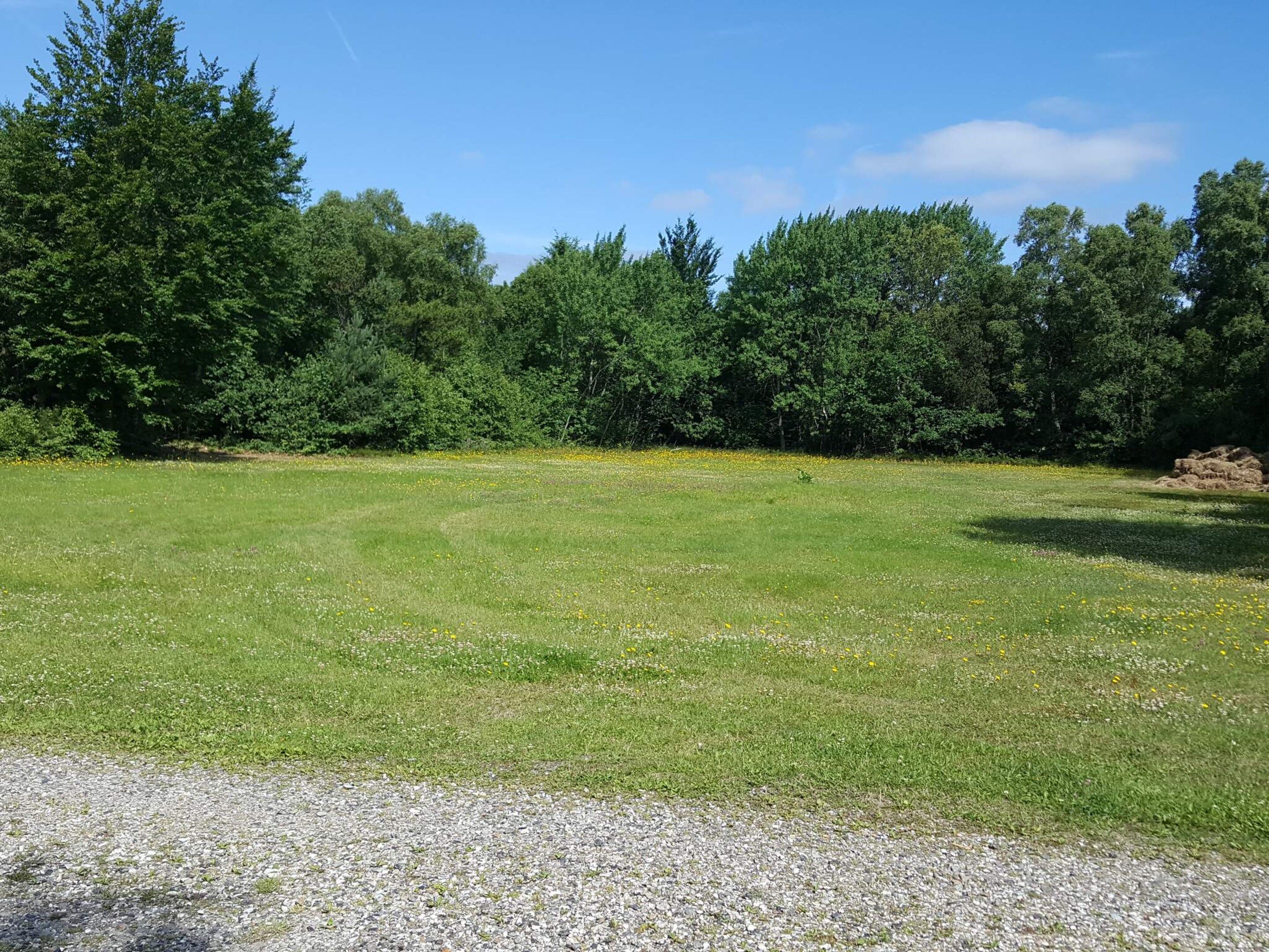 A grassy field with trees in the background.