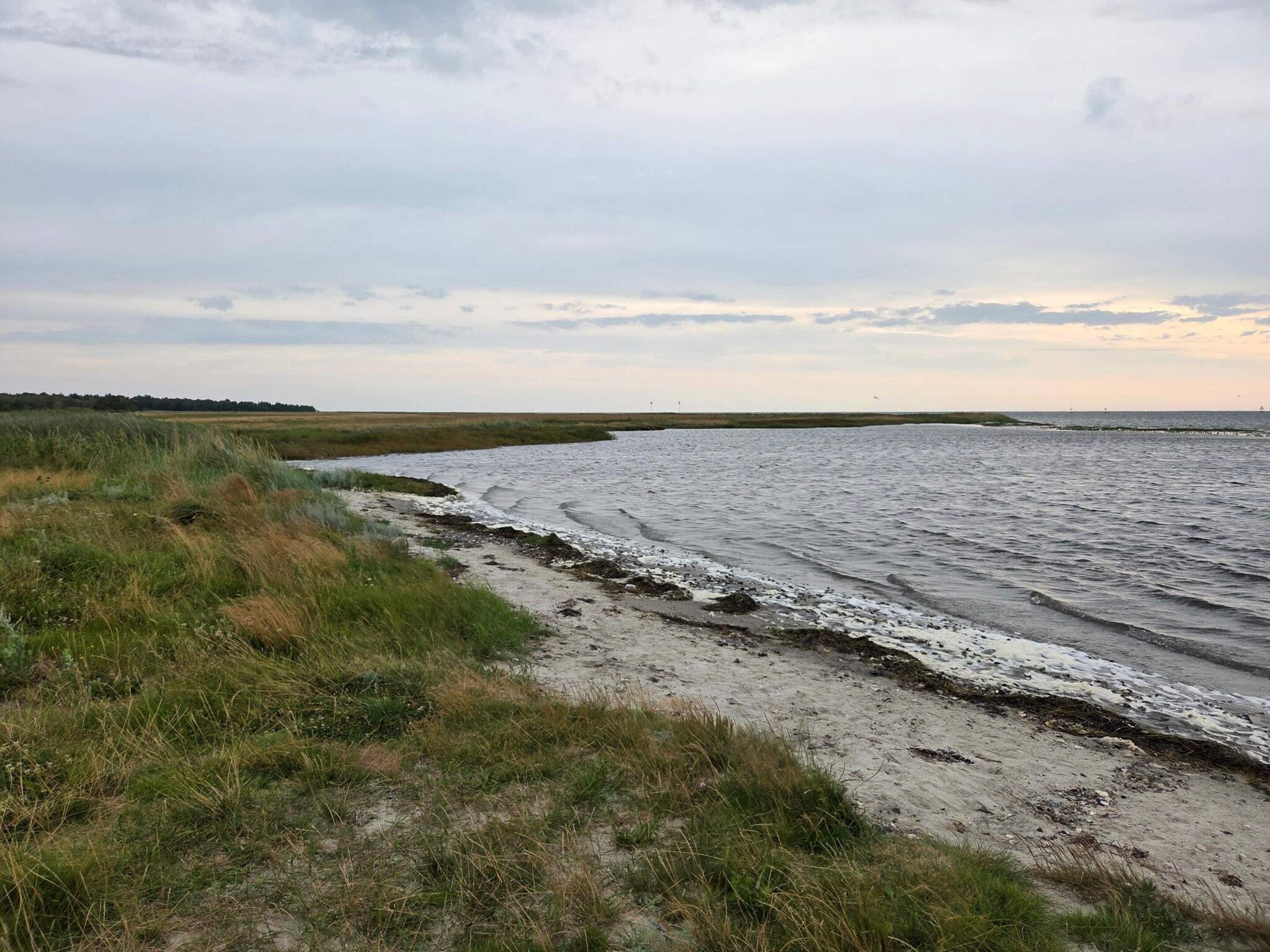 A coastal landscape with a sandy beach and grassy dunes.