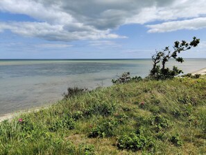 A coastal landscape with a clear sky, a sandy beach, and a tree in the foreground. - Alluring Holiday Home in Hadsund near Sea (Hadsund)
