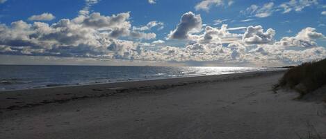 ハウス | ビーチ