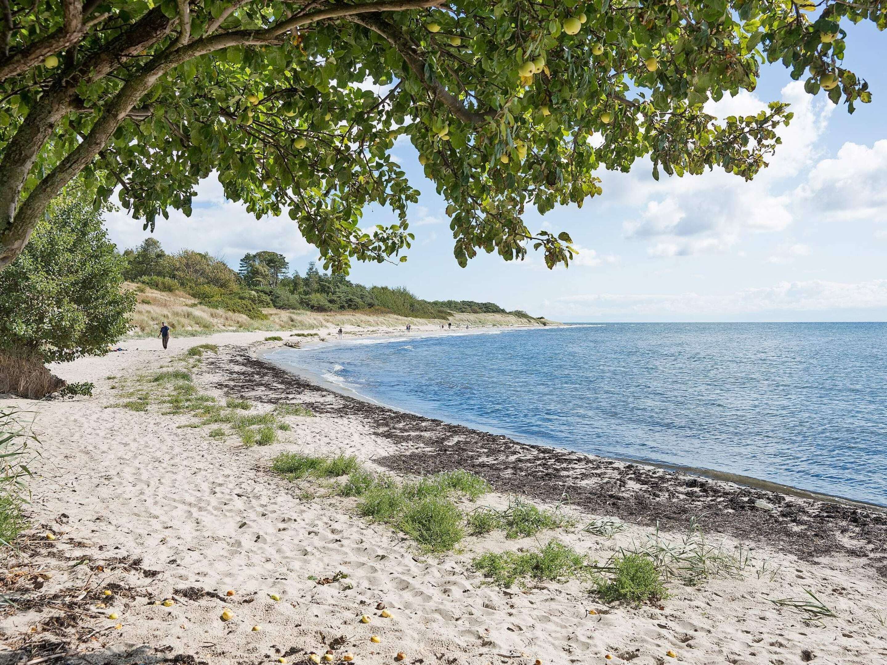 Hus | Strand