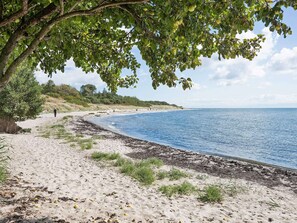 A beach with a sandy shore, a tree providing shade, and a clear view of the sea.