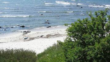 Hus | Udsigt fra overnatningsstedet