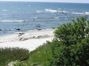 Ein Strand mit weißem Sand und vereinzelten Felsen, umgeben von üppiger Vegetation.