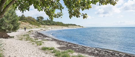 A beach with a sandy shore, a tree providing shade, and a calm sea.