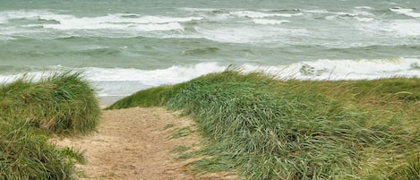 A sandy path leading to the ocean with grassy banks on either side.